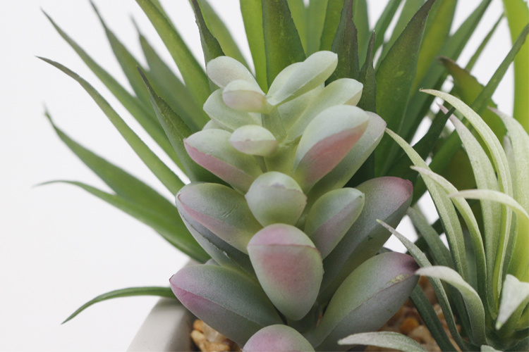 Ornamental-Evergreen-Indoor-Desktop-Decoration-Artificial-Succulent-Small-Succulent-Plant-with-Pot (5).jpg 